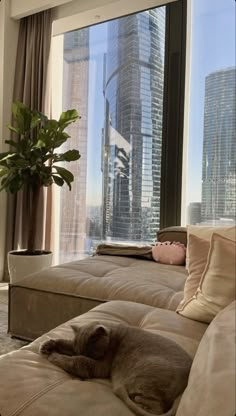 a dog sleeping on a couch in front of a large window with the city skyline outside