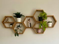 three hexagonal wooden shelves with plants on them and some figurines in the middle