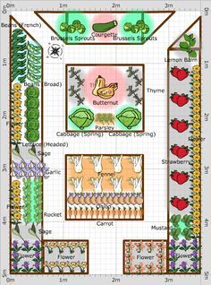 a garden plan with various plants and flowers