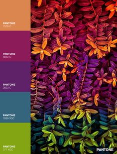 the color scheme for pantone's autumn colors