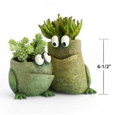 two plants are sitting next to each other on the same planter, with eyes drawn on them