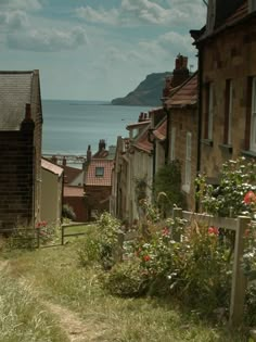 an alley leading to the ocean with houses on both sides and flowers growing in front