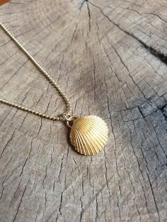 A sea shell necklace made of natural shells casted in brass and plated with quality, nickel free 14k gold plating.The necklace is made of 14k gold filled. Gold Shell Necklace In Ocean-inspired Style, Dainty Gold Shell Charm Necklace, Gold Ocean-inspired Shell Necklace, Dainty Gold Shell Jewelry, Ocean-inspired Gold Shell Necklace, Gold Shell Necklace With Ocean-inspired Style, Gold Shell Necklace Ocean-inspired, Ocean-inspired Gold Shell Charm Necklace, Gold Shell Ocean-inspired Necklace