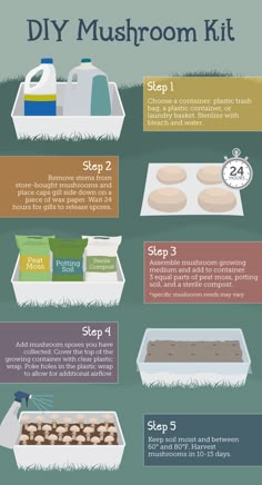 how to make homemade diy mushroom kit