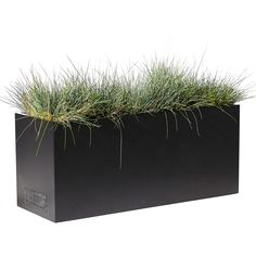 a black planter with grass growing out of it