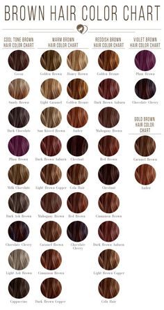 Pelo Chocolate, Brown Hair Color Chart, Rich Brown Hair, Brown Hair Shades, Chocolate Brown Hair Color, Hair Color Chocolate, Medium Brown Hair, Latest Hair Color, Chocolate Hair