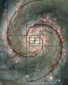 Fibonacci Sequence In Nature, Fibonacci Art, Fibonacci Golden Ratio, Golden Section, Starověký Egypt, Golden Mean, Divine Proportion, Geometry In Nature, Golden Spiral