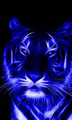 a black and blue photo of a tiger