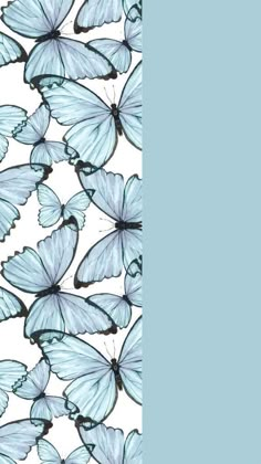 a group of blue butterflies flying in the sky