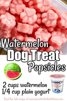 watermelon dog treat popsicles with text overlay