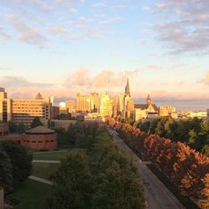 an aerial view of a city with tall buildings and trees in the foreground at sunset