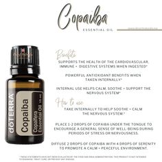 Doterra Patchouli, Doterra Copaiba, Copaiba Oil, Doterra Oils Recipes, Copaiba Essential Oil, Essential Oils For Pain, Doterra Essential Oils Recipes, Doterra Oil, Do Terra