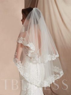 the back of a bride's wedding dress with a veil