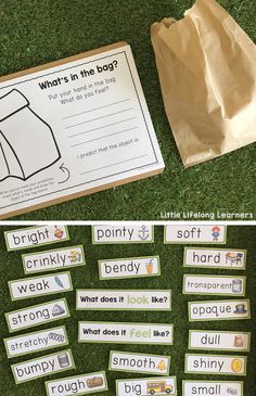 an image of some sort of information cards on the grass with paper bags and other items