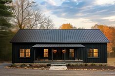 a small black house with a metal roof