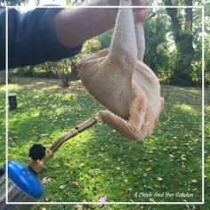 a person is holding an object in their hand and it looks like they are eating something out of the ground