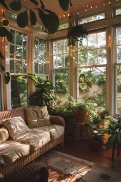 the sun shines through three large windows into a room filled with potted plants