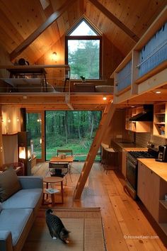 a living room filled with furniture and a cat on the floor