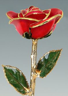 a red rose with green leaves on it