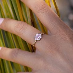 14k Yellow Gold Ring with Natural Sapphires and Diamonds. A delightful cluster of pink Sapphires, inspired by the seasonal beauty of Sakura or cherry blossom, all set on our signature band of Diamond stars. A bloom representing mortality, mindfulness and living in the present, Japanese cherry blossoms are a timeless metaphor for human existence. Blooming season is powerful, glorious and intoxicating, but tragically short-lived‚ this stunning piece reminder to enjoy the beauty within every given Audry Rose, Japanese Cherry Blossoms, Living In The Present, Human Existence, Sapphire And Diamond Ring, Japanese Cherry Blossom, Diamond Star, Natural Sapphire, Yellow Gold Ring