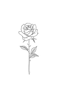 Tiny Rose Drawing, Outline Rose Tattoo, Roses Outline, Rose Outline Tattoo, Rose Tattoo On Side, Deer Head Tattoo, Single Rose Tattoos, Simple Rose Tattoo