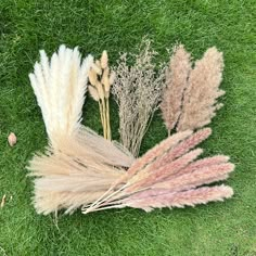 PRICES MAY VARY. 【Package of 100 Pieces】: The package contains 6 kinds of 100pcs different natural dried pampas grass flowers, with a total length of 17 inches. Can be cut to length to decorate your pampas vase. 【Warm Tips】 Take it out of the carton for the first time, please shake it gently. After a long process of packing and traveling, please allow it to come off, so it seems uninspired. Don't worry, just follow the hint card, give it a little time and it will recover. 【Fluffy and Soft Down】P Bunny Tail Diy, Boho Wedding Arch, White Pampas, Baby Shower Boho, Stile Boho Chic, Pampas Grass Bouquet, Pampas Grass Decor, Grass Decor, Artificial Plants Outdoor