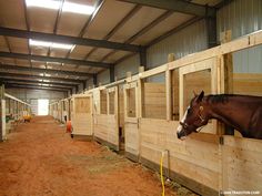 a horse sticking its head over the side of a wooden fence in an enclosed area