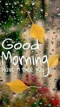 the words good morning have a nice day are written on a window with rain drops