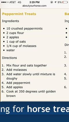 a recipe for horse treats is shown on the webpage, and it appears to be in english