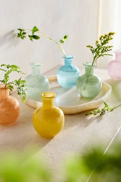 several vases are sitting on a table with green plants in them and one is empty