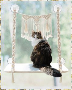 Dahey Cat Window Perch Macrame Cat Hammock Boho Wall Mounted Pet Resting Seat Bed for Indoor Cats Space Saving kitty Sunny Sw Window Safety, Bed Picture, Cat Tree Condo