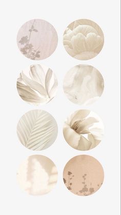 six different types of white and beige paper plates with leaves on them, all in various shapes