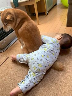 a small dog sitting on the floor next to a baby laying on it's back