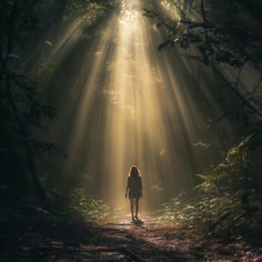 a woman is walking down a path in the woods with sunlight streaming through the trees