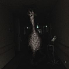 a giraffe is walking through the dark hallway