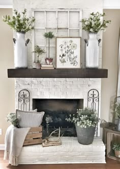 a living room with a fire place and potted plants on top of the mantle