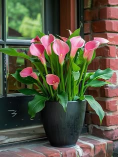 pink flowers are in a black vase on the window sill by a brick building