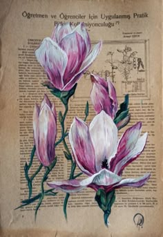 an old book with flowers painted on it's pages and the words, ornament ve orecicler laut lygulamas prak