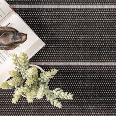 an open book on top of a table next to a plant with leaves and flowers