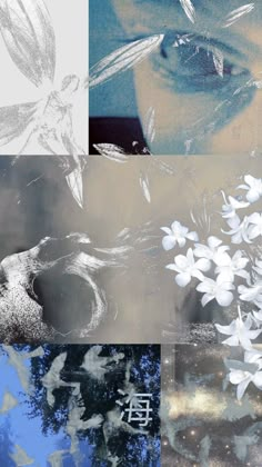 four different pictures with white flowers and blue sky in the middle one is an image of a woman's face