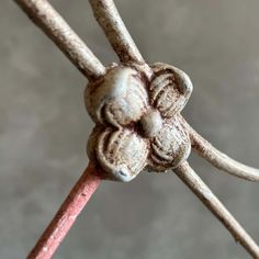 a close up view of an old metal wire