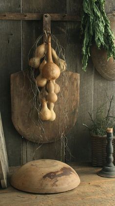 some vegetables are hanging on a wooden wall