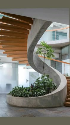 a spiral staircase in an office building with potted plants