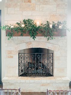 a fire place with plants in it on the front and side of a fireplace screen