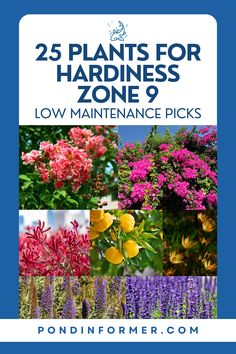 the cover of 25 plants for hardness zone 9