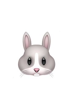 a white and gray rabbit face with black eyes