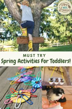 'four fun outdoor learning activities for kids with the text must try spring activities for toddlers' April Activities For Kids, Seed Germination For Kids, Fine Motor Play, Outdoor Activities For Toddlers