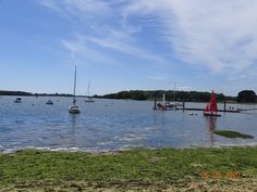 sailboats are in the water on a sunny day with blue sky and green grass