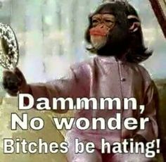 Awesomely stunning Monkey Memes, Funny Good Morning Quotes, Morning Quotes Funny, Good Morning Funny, Monkeys Funny, Sarcastic Quotes Funny, Funny Animal Memes, Work Humor, Funny Sayings