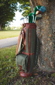 a golf bag sitting on the ground next to a tree with two clubs in it